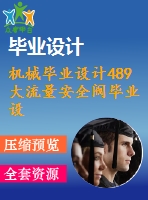 機械畢業(yè)設(shè)計489大流量安全閥畢業(yè)設(shè)計